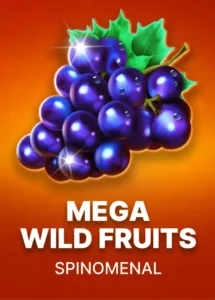 Mega Wild Fruits Slot